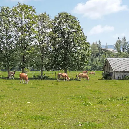 Ferienwohnung Mit Badeteich Apartment Ramsau am Dachstein