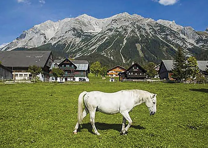 Mit Badeteich Апартаменты *